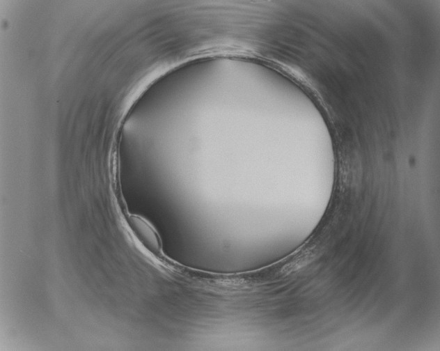 X0000053001383200507291631