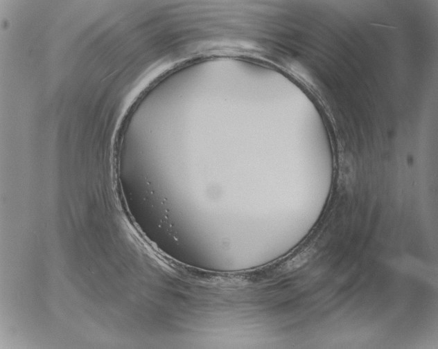 X0000053001384200507291631