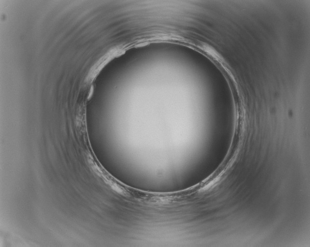 X0000053001385200507291631