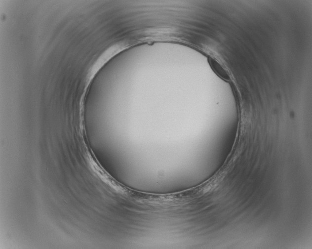 X0000053001386200507291631