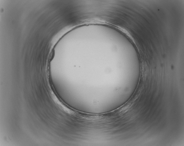 X0000053001387200507291631