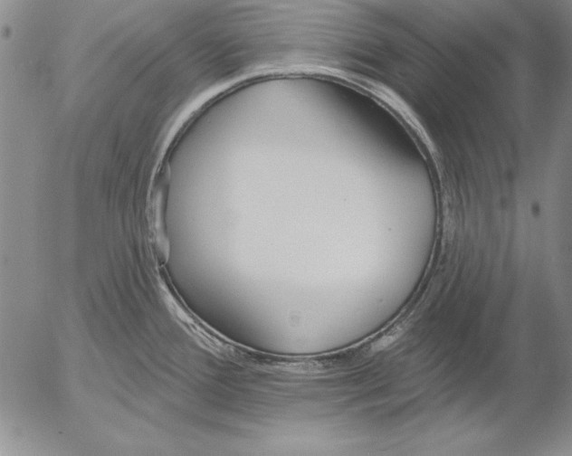 X0000053001388200507291631