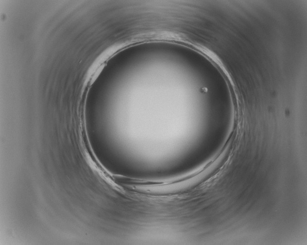 X0000053001389200507291631