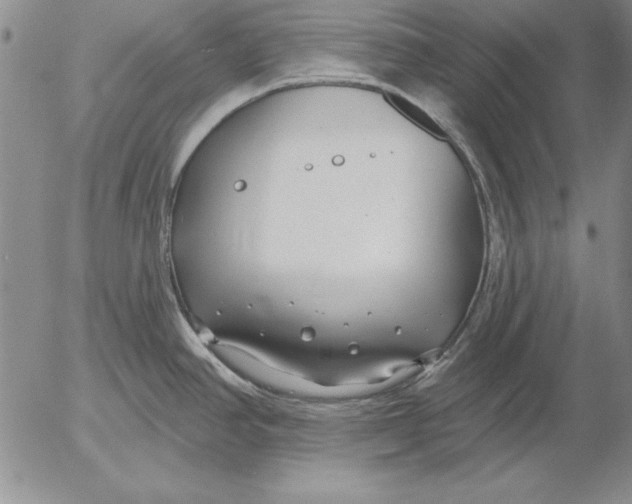 X0000053001390200507291631