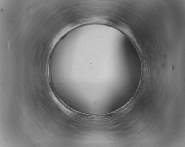 X0000053001391200507291631