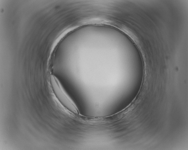 X0000053001392200507291631