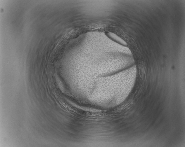 X0000053001393200507291630