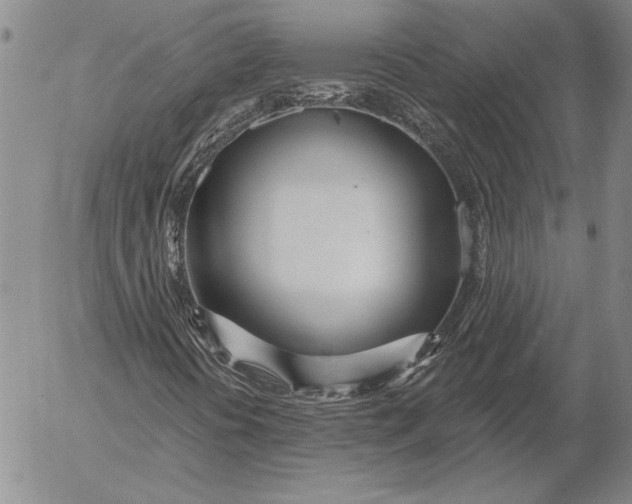 X0000053001394200507291630