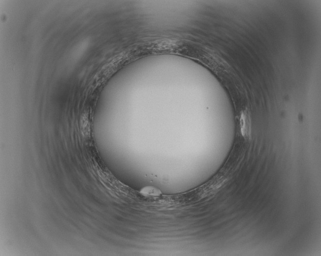 X0000053001395200507291630