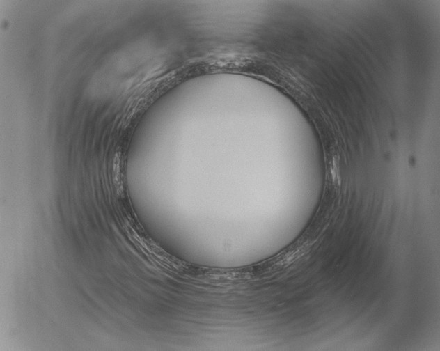 X0000053001396200507291630