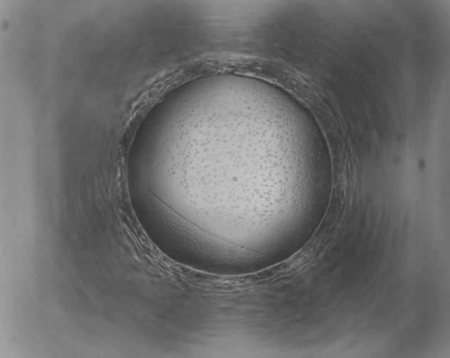 X0000053001397200507291630