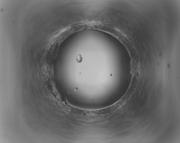 X0000053001398200507291630