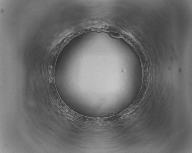 X0000053001399200507291630