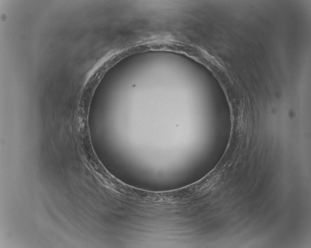 X0000053001400200507291630