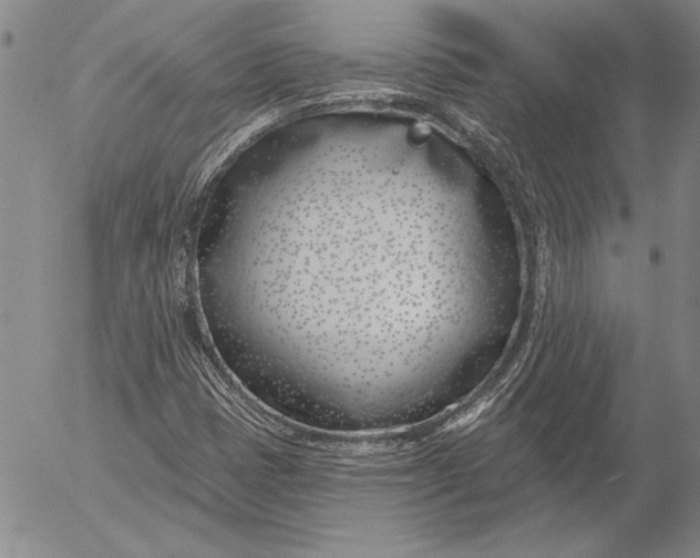 X0000053001401200507291630