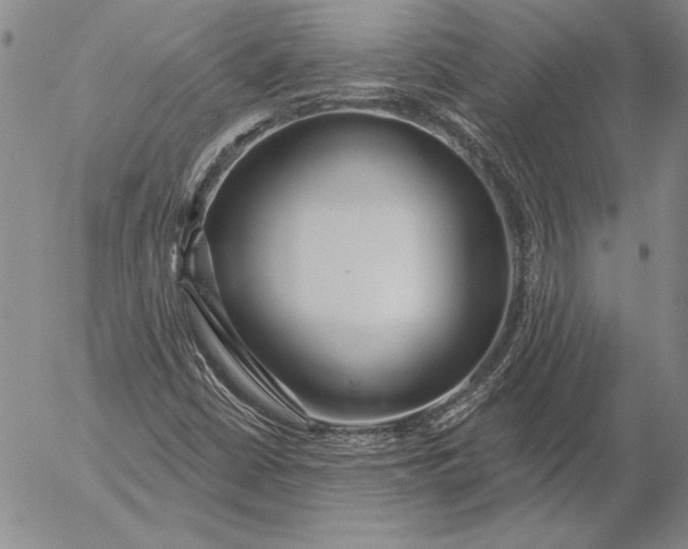 X0000053001402200507291630