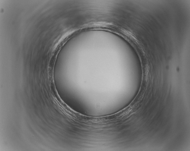 X0000053001404200507291630