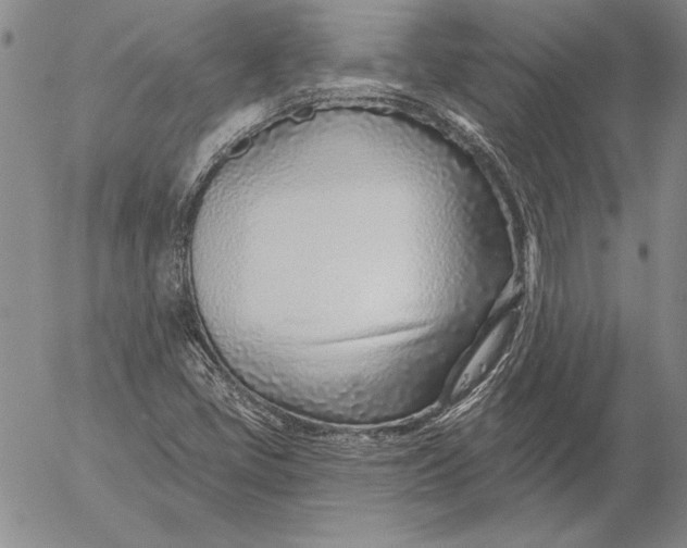 X0000053001405200507291630