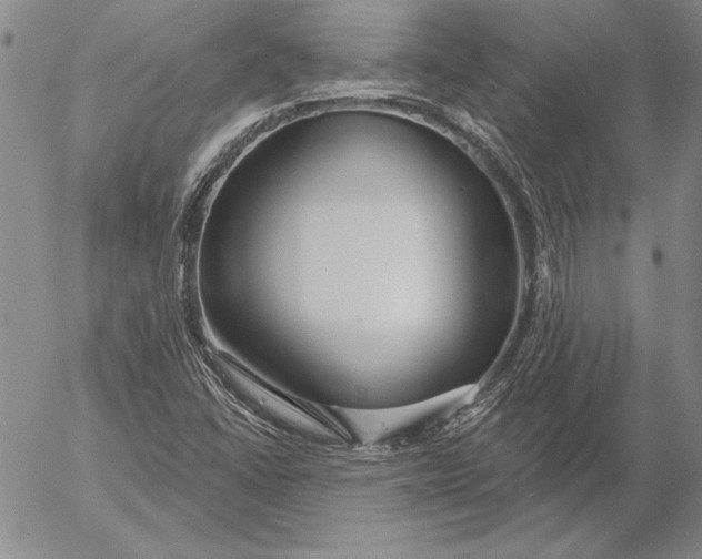 X0000053001406200507291630