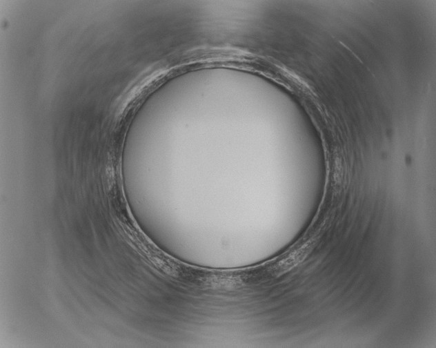 X0000053001407200507291630