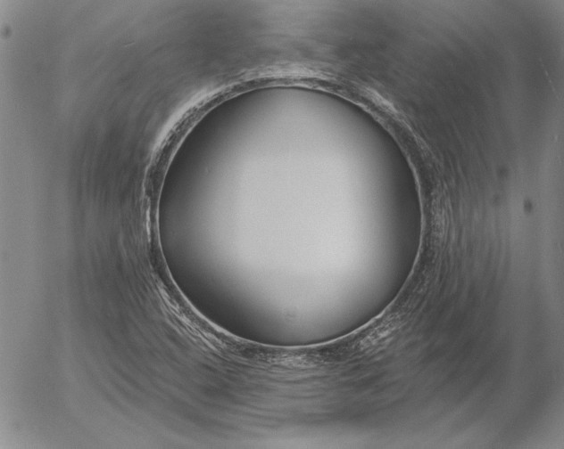 X0000053001408200507291630