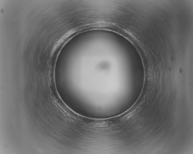 X0000053001410200507291630