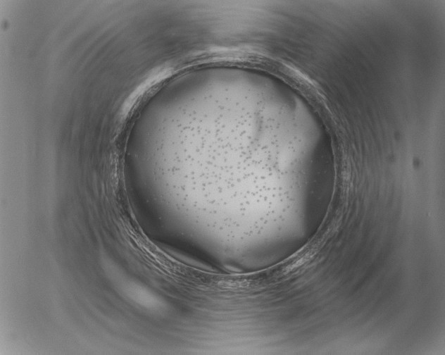 X0000053001411200507291630