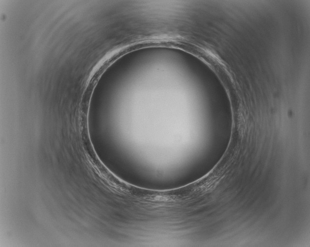 X0000053001412200507291631