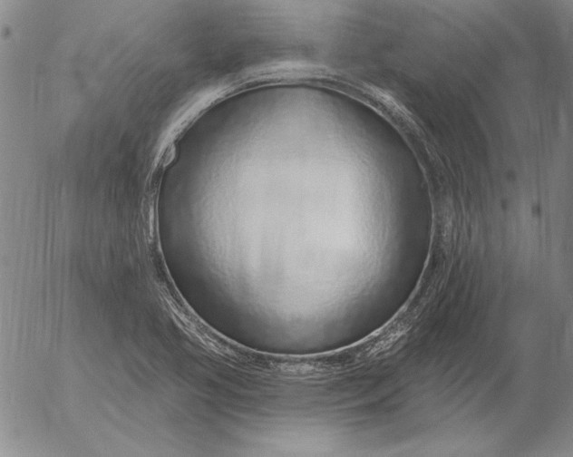 X0000053001413200507291631