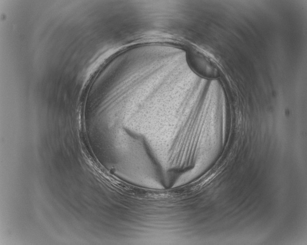 X0000053001415200507291631