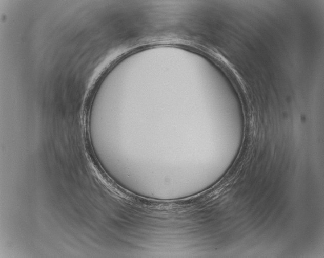 X0000053001416200507291631