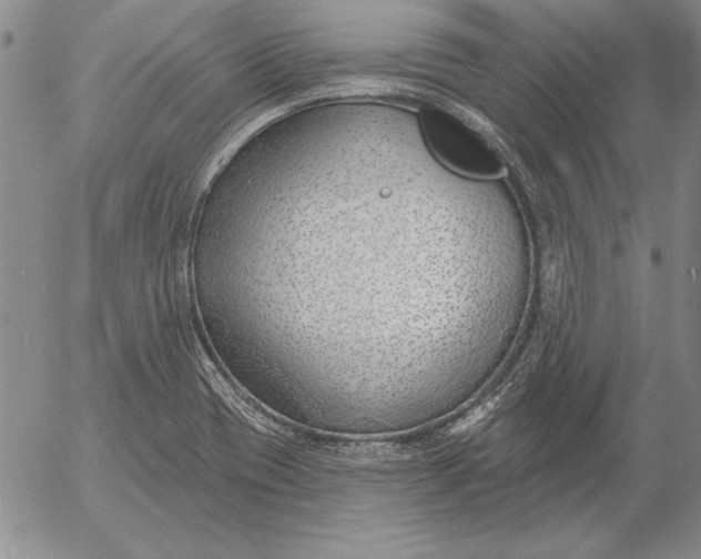 X0000053001417200507291631