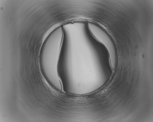 X0000053001418200507291631