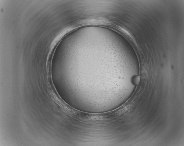 X0000053001419200507291631