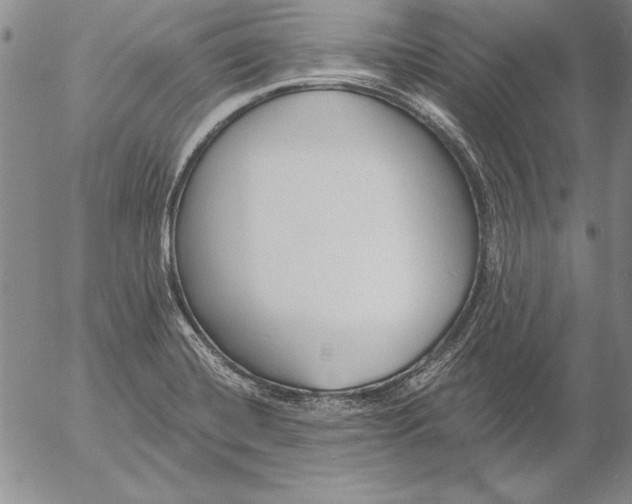 X0000053001420200507291631