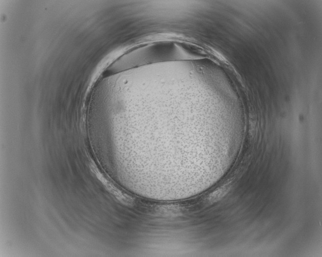 X0000053001421200507291631