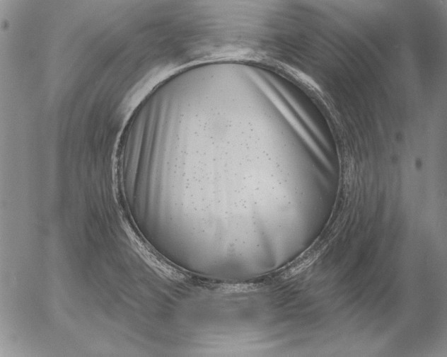 X0000053001423200507291631