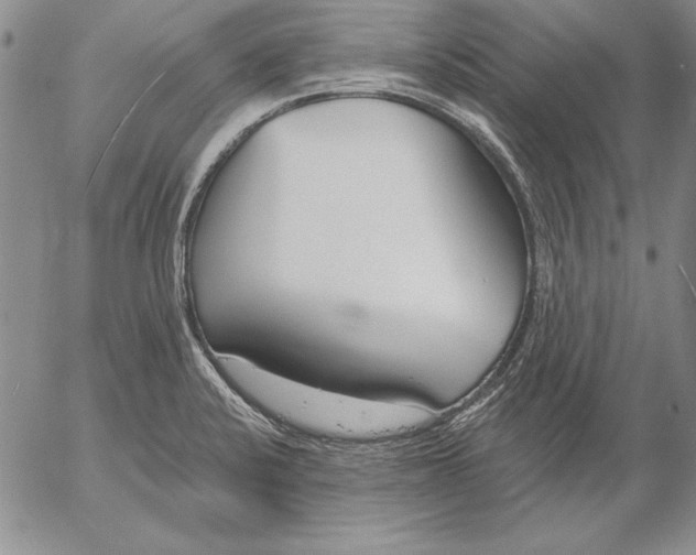 X0000053001424200507291631