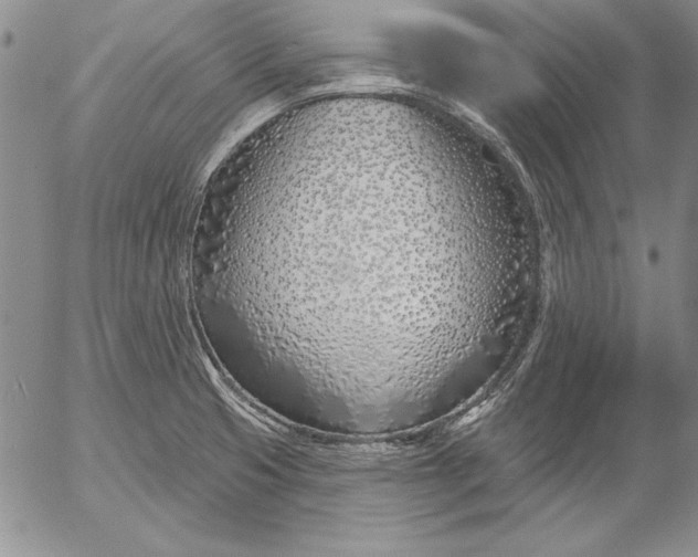 X0000053001425200507291631