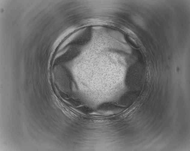 X0000053001427200507291631