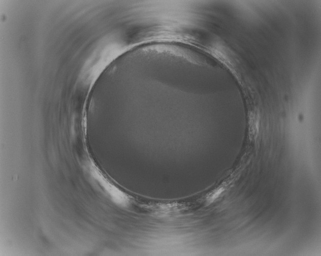 X0000053001428200507291631