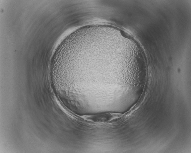 X0000053001429200507291631