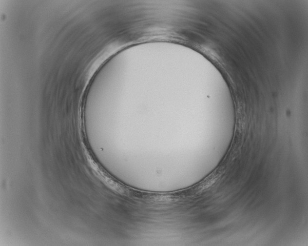 X0000053001431200507291631