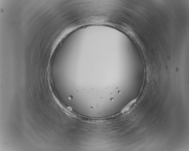 X0000053001432200507291631