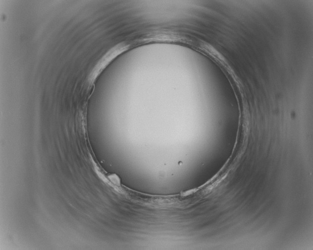 X0000053001433200507291631