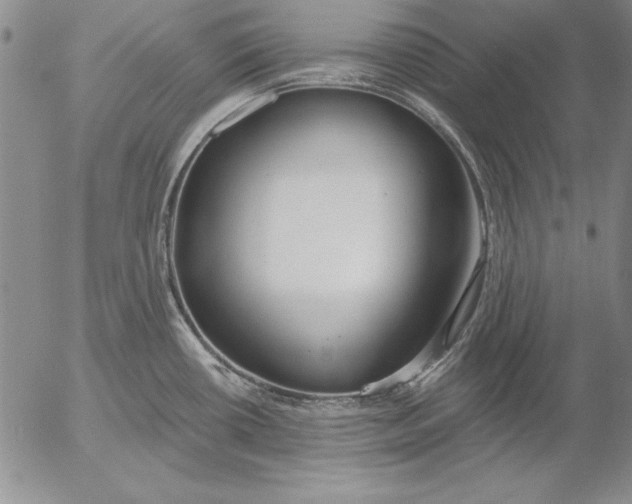 X0000053001434200507291631