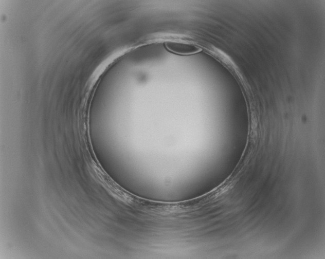 X0000053001435200507291631