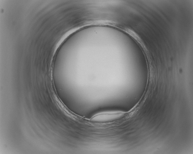 X0000053001436200507291631