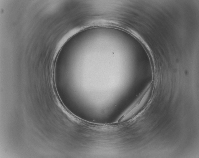 X0000053001437200507291631