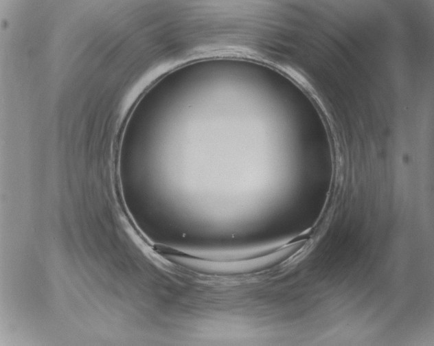 X0000053001438200507291631